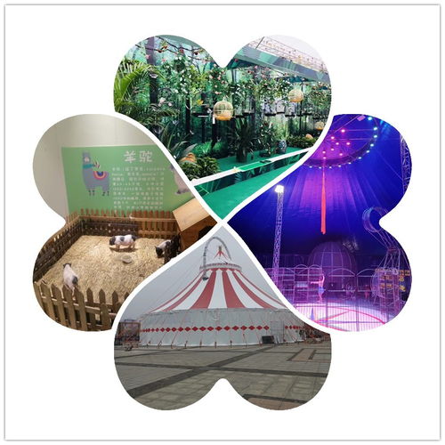 江苏句容市周边 动物马戏团与百鸟展的影视化策划之道